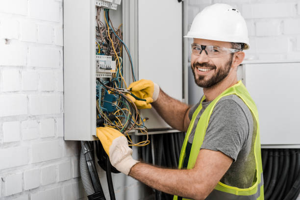 Best Electric Panel Repair  in Duncanville, TX
